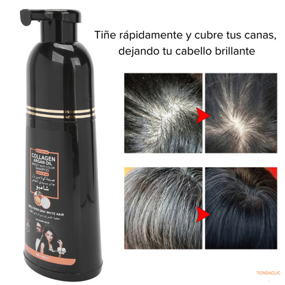 Shampoo Tinte Cubre Canas Disaar